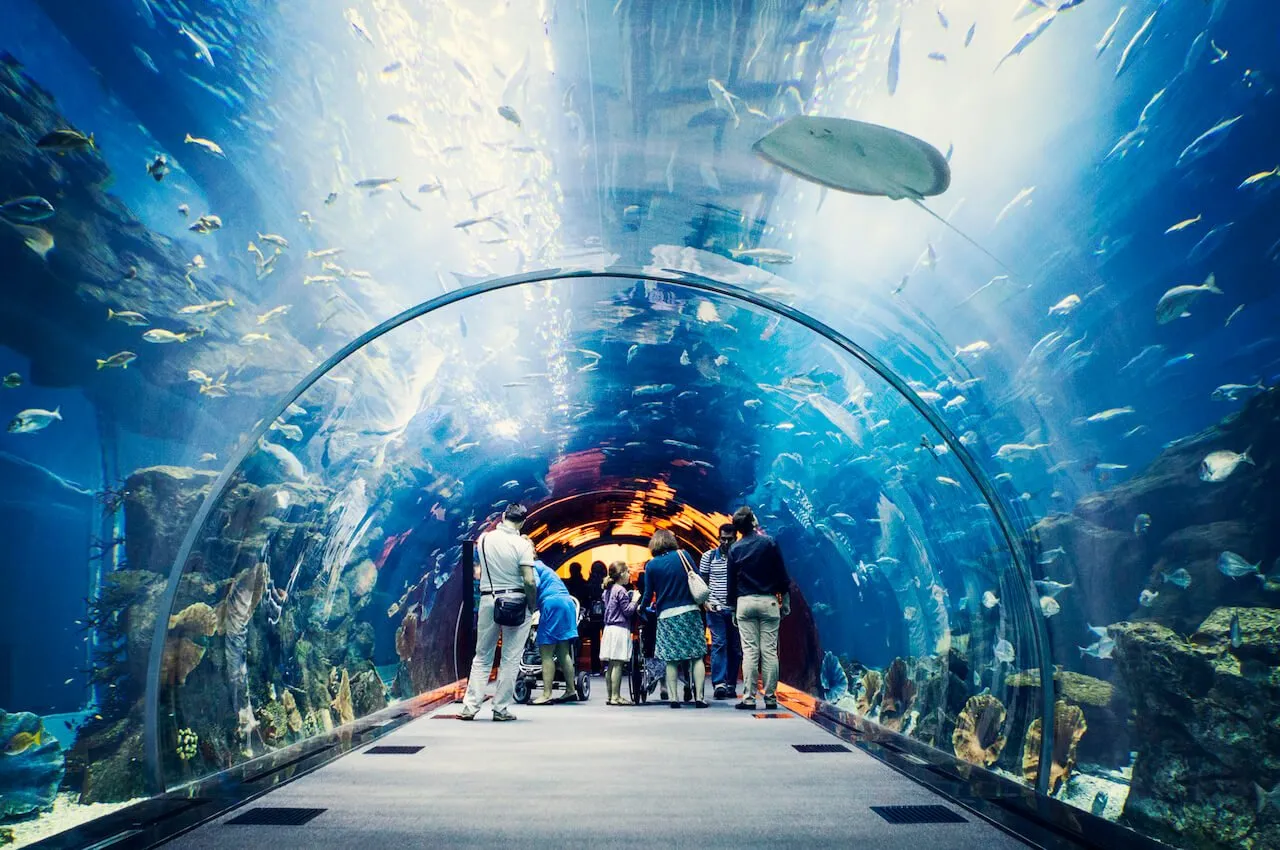 Dubai Mall Aquarium and underwater zoo deals